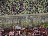 image of grave number 795292